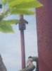 20150428_114338