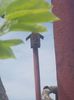 20150428_114335