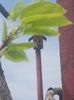 20150428_114333