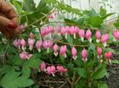 SAM_5791