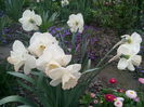 IMG_20150428_112124