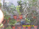 SAM_1879