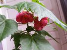 20150429_140148