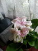 20150303_023305