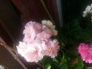 20150428_092602(0)