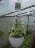 DSCN0762