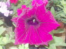 DSCN0752