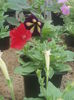 DSCN0756