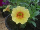 DSCN0759