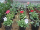 DSCN0725