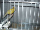Picture 3053