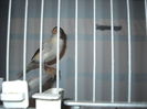 Picture 3048