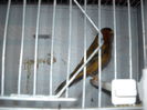 Picture 3046