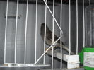 Picture 3045