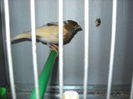 Picture 3043
