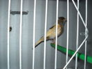 Picture 3040