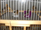 Picture 3024