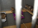 Picture 3027