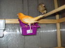 Picture 3028