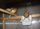 Picture 3029