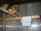 Picture 3030