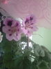 IMG-20150428-WA0000