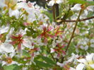 DSCN4281