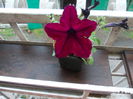 DSCN5473