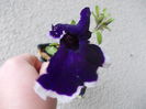 DSCN5474