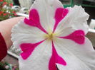 DSCN5475
