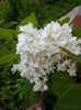 IMG_20150428_102245