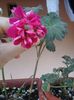 20150429_135740