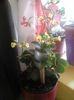 20150425_094523