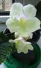 20150330_104550