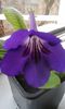 20150330_104622