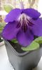 20150330_104626