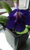20150330_104646