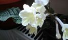 20150407_105027