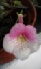 20150429_085330