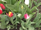 DSCF2418