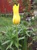 DSCF2419