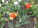 DSCF2433