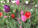 DSCF2437