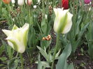 DSCF2438