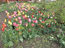 DSCF2505