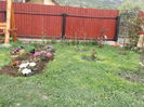 DSCF2524