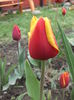 DSCF2412