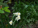 DSCN5372