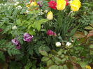 DSCF1618