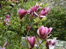 DSC01164